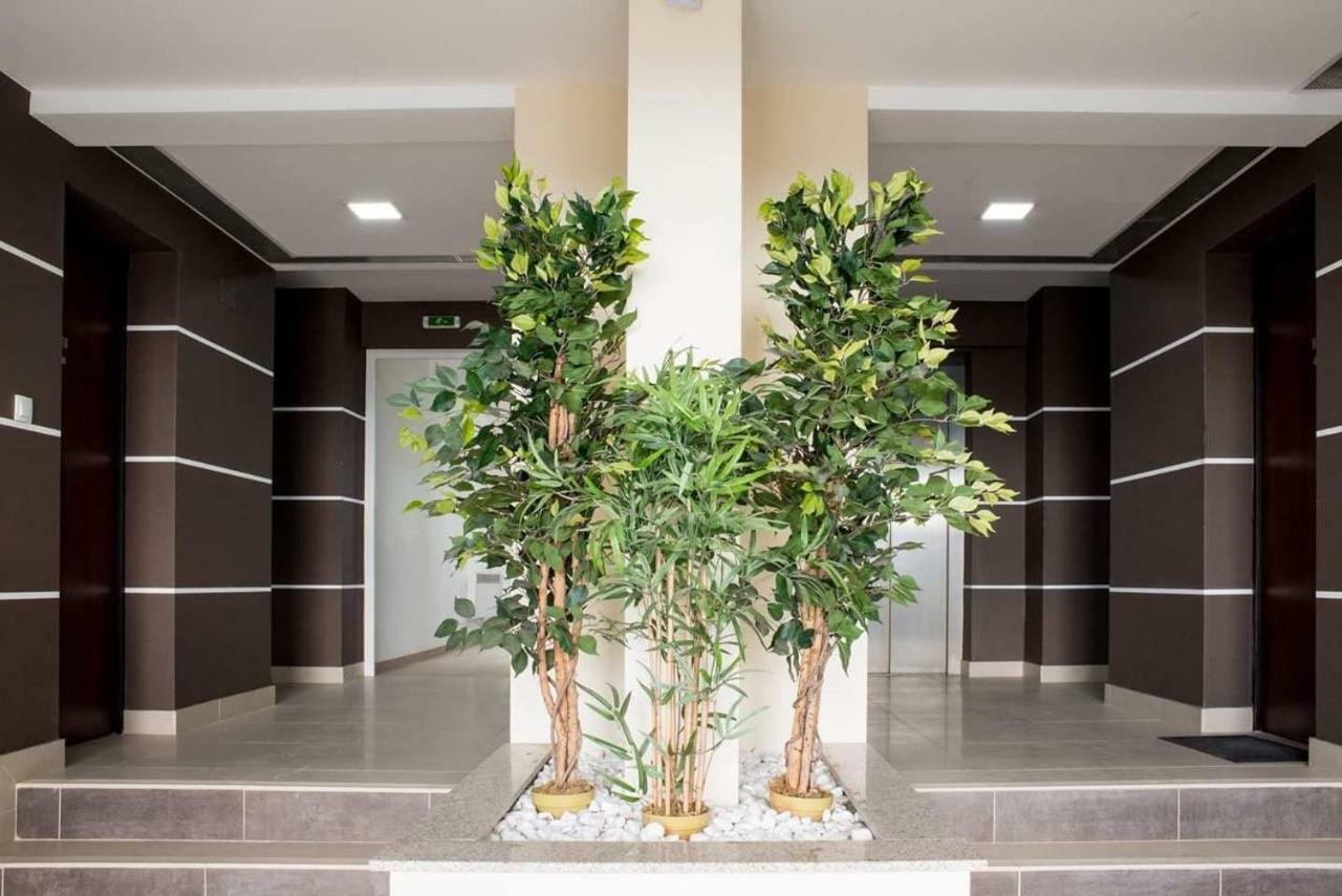 Suite Life Braşov Exterior foto